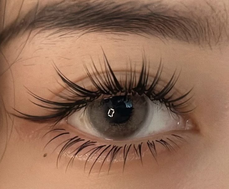Lash Extension